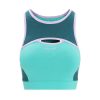 Icebreaker ZoneKnit Sport Bra (Women's) - Find Your Feet Australia Hobart Launceston Tasmania - Green Glory